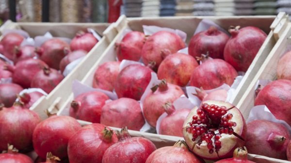 Pomegranate - Image 3