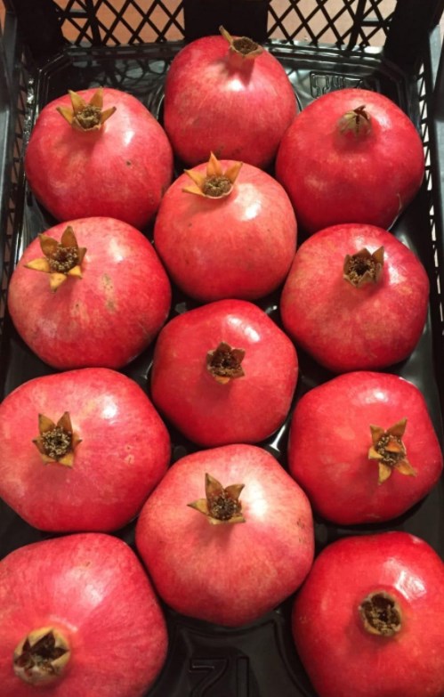 Pomegranate - Image 2