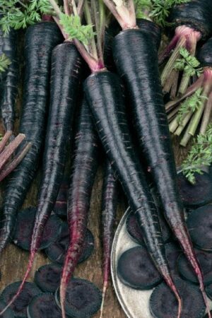 Black Carrot