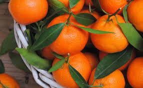 Mandarins - Image 6