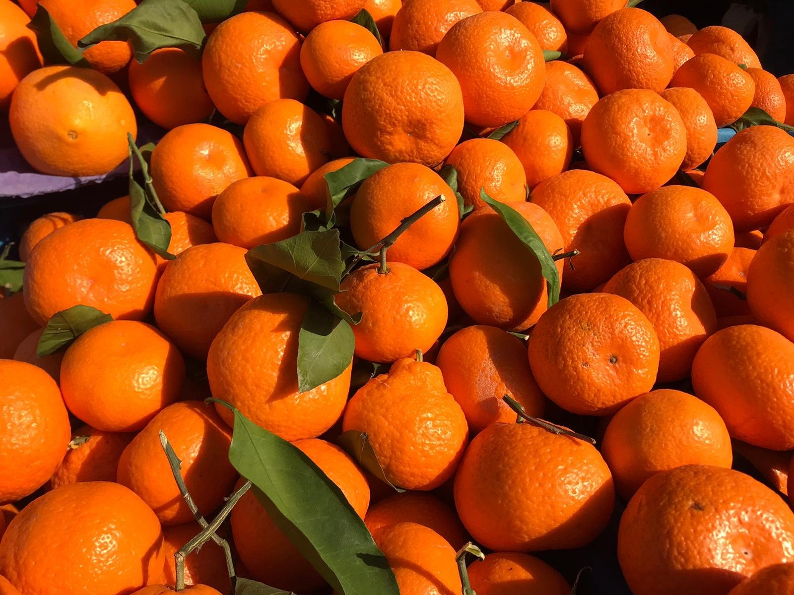Mandarins - Image 2