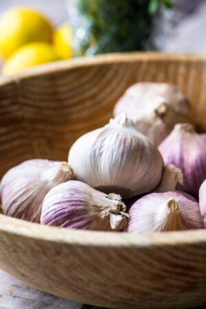 Purple Garlic