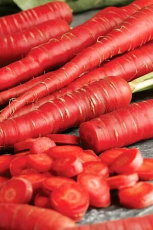 Red Carrot