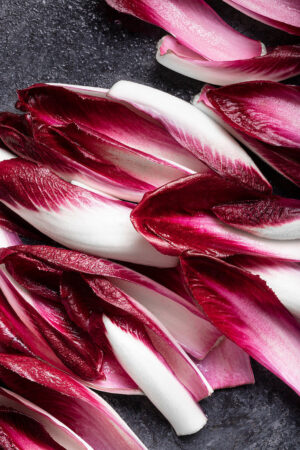 Red Chicory / Red Endive