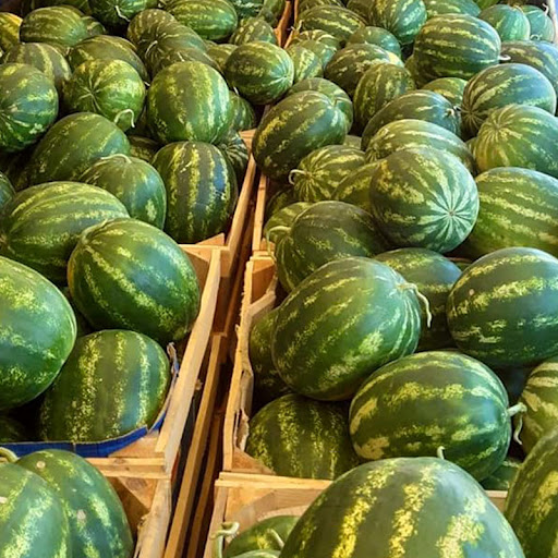 Watermelon - Image 2