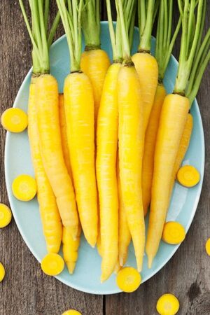 Yellow Carrot